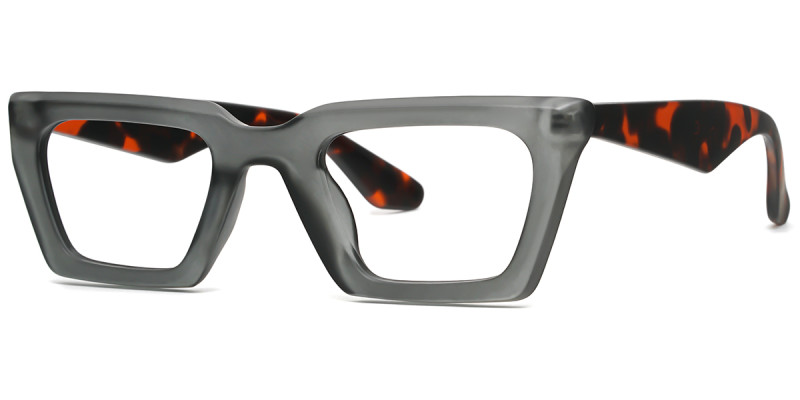 Rectangle Grey Tortoise Frame