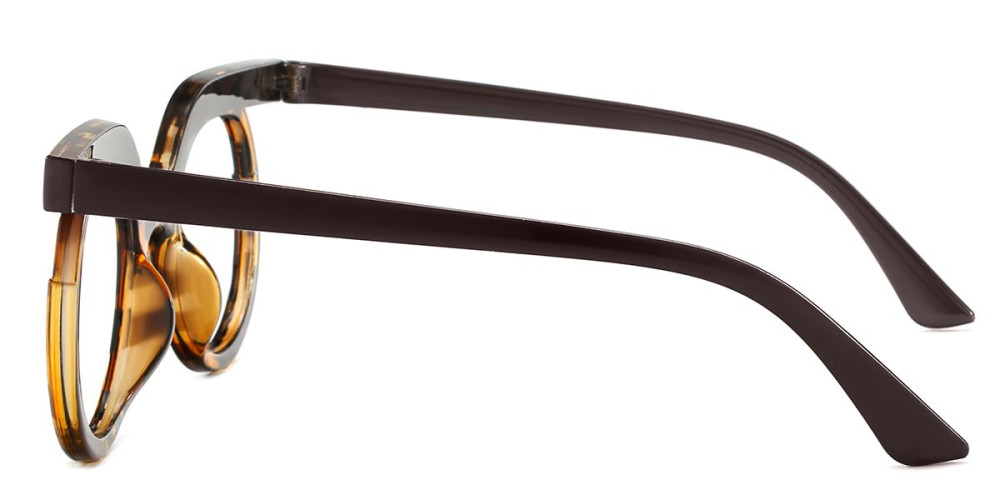 Round Tortoise Frame