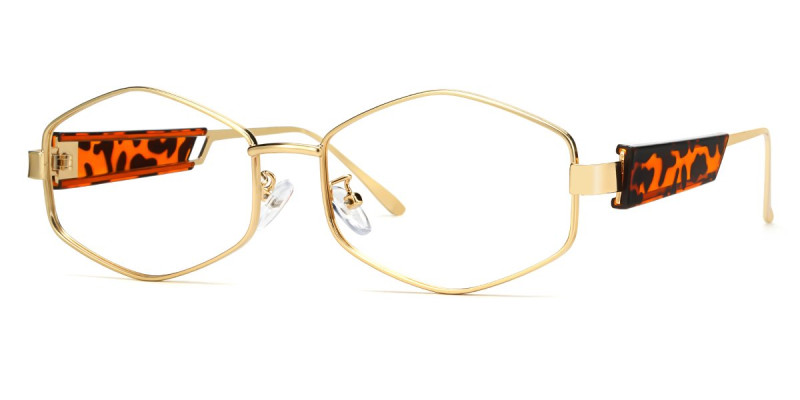 Geometric Tortoise Frame