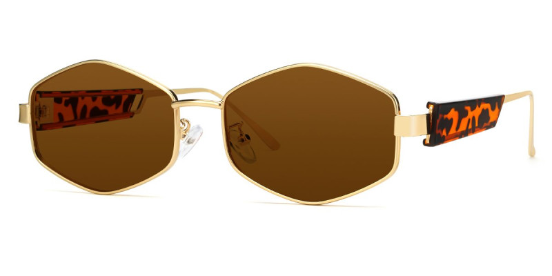 Geometric Tortoise Sunglasses
