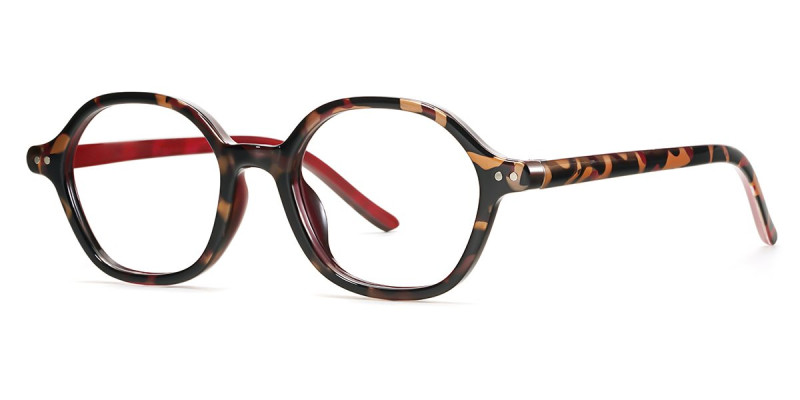 Geometric Tortoise Frame