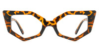 Geometric Tortoise Frame
