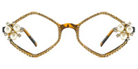 Geometric Tortoise Frame