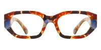 Geometric Tortoise Frame