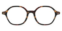 Geometric Tortoise Frame